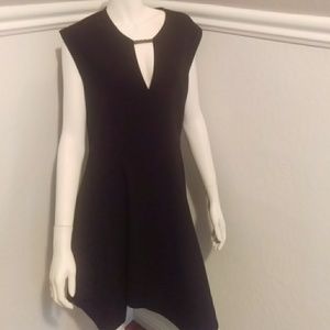 Halston Heritage Chic Black Dress